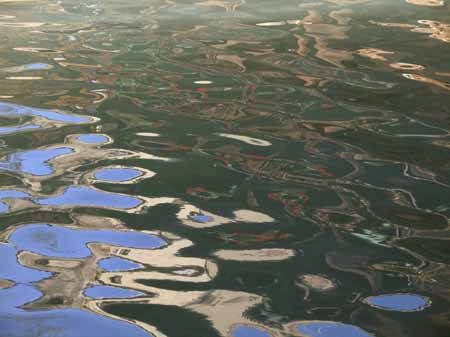 Crimson geranium - Water reflections, JBLArts photography