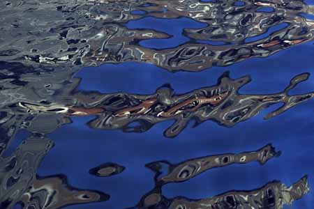 Amoeba - Water reflections, JBLArts photography