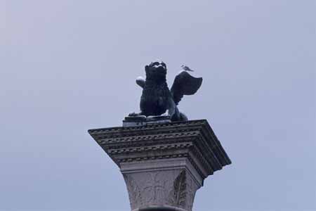 San Marco's lion with a seagull in Winter- JBLArts photography