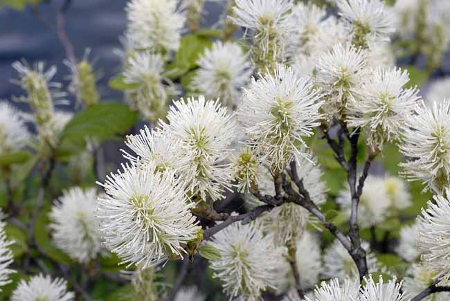 Fireworks - The Gardens of Trauttmansdorff Castle, Meran, JBLArts photography