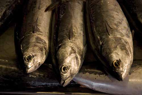 Threesome - Rialto's fish-market in Venice, JBLArts photography