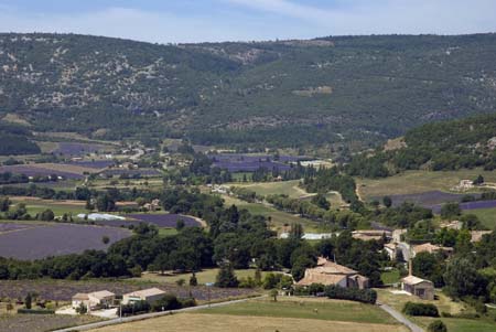 Provence landscape with lavender - Lavender land, Provence, JBLArts photography