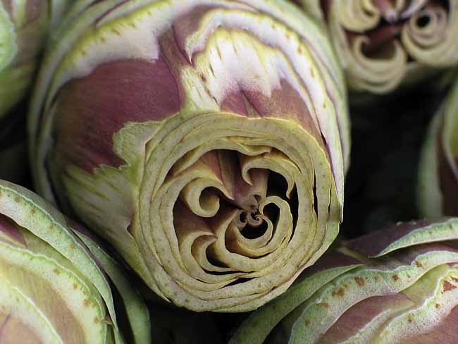 Artichoke: convolution - Artichokes at the open-air market in Padua, Italy, JBLArts photography
