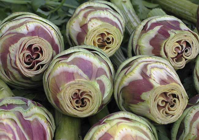 Artichoke: convolutions - Artichokes at the open-air market in Padua, Italy, JBLArts photography