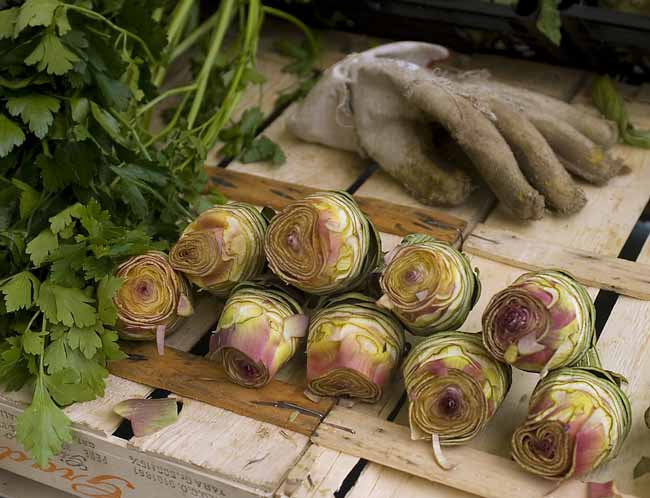 Nine artichokes with glove - Artichokes at the open-air market in Padua, Italy, JBLArts photography