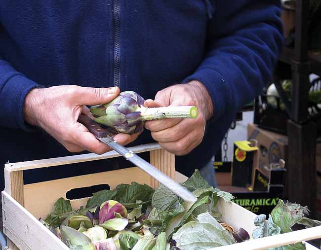A fruiterer pondering the next move to cut the artichoke - Artichokes at the open-air market in Padua, Italy, JBLArts photography